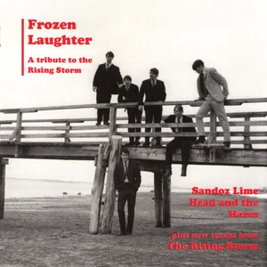 Frozen Laughter - 45 Picture Sleeve